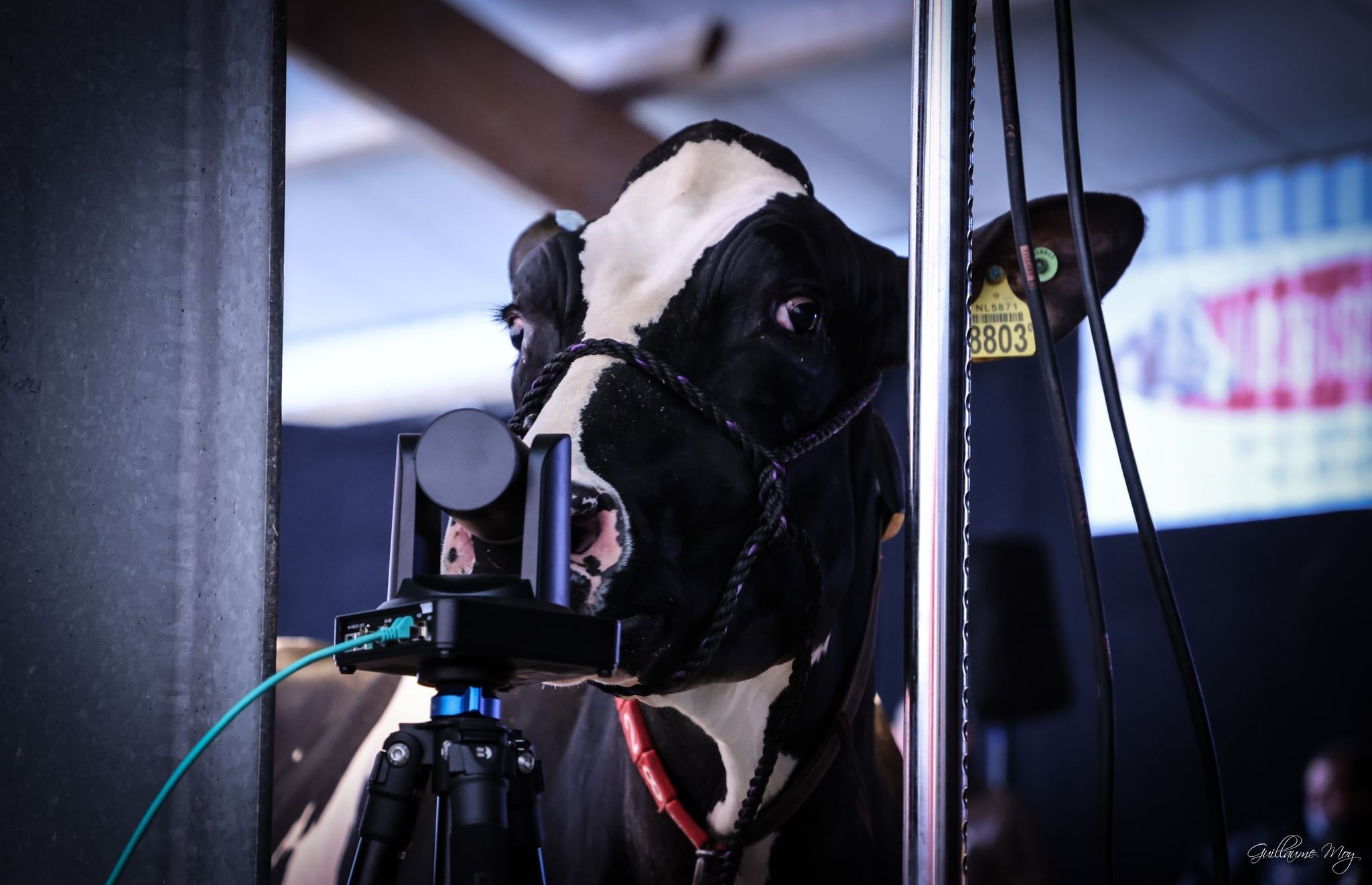 394562908 706765671487880 6386599482623034324 n